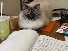 -剧狐剧本杀·月球探案馆(人民广场1号店)