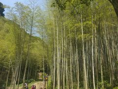 -五泄景区