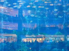 -成都浩海立方海洋公园