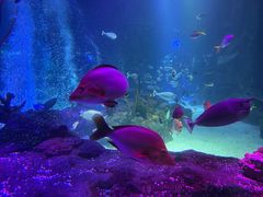 -沈阳海洋探索中心