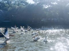 -大湾区中央湿地公园