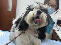 -美联众合动物医院·24h转诊中心