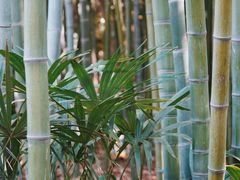 -苏州河梦清园环保主题公园