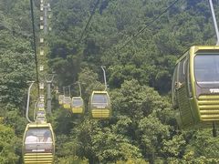 -黔灵山公园