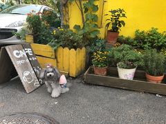 -春风十里咖啡馆