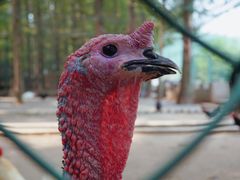 -南京金牛湖风景区