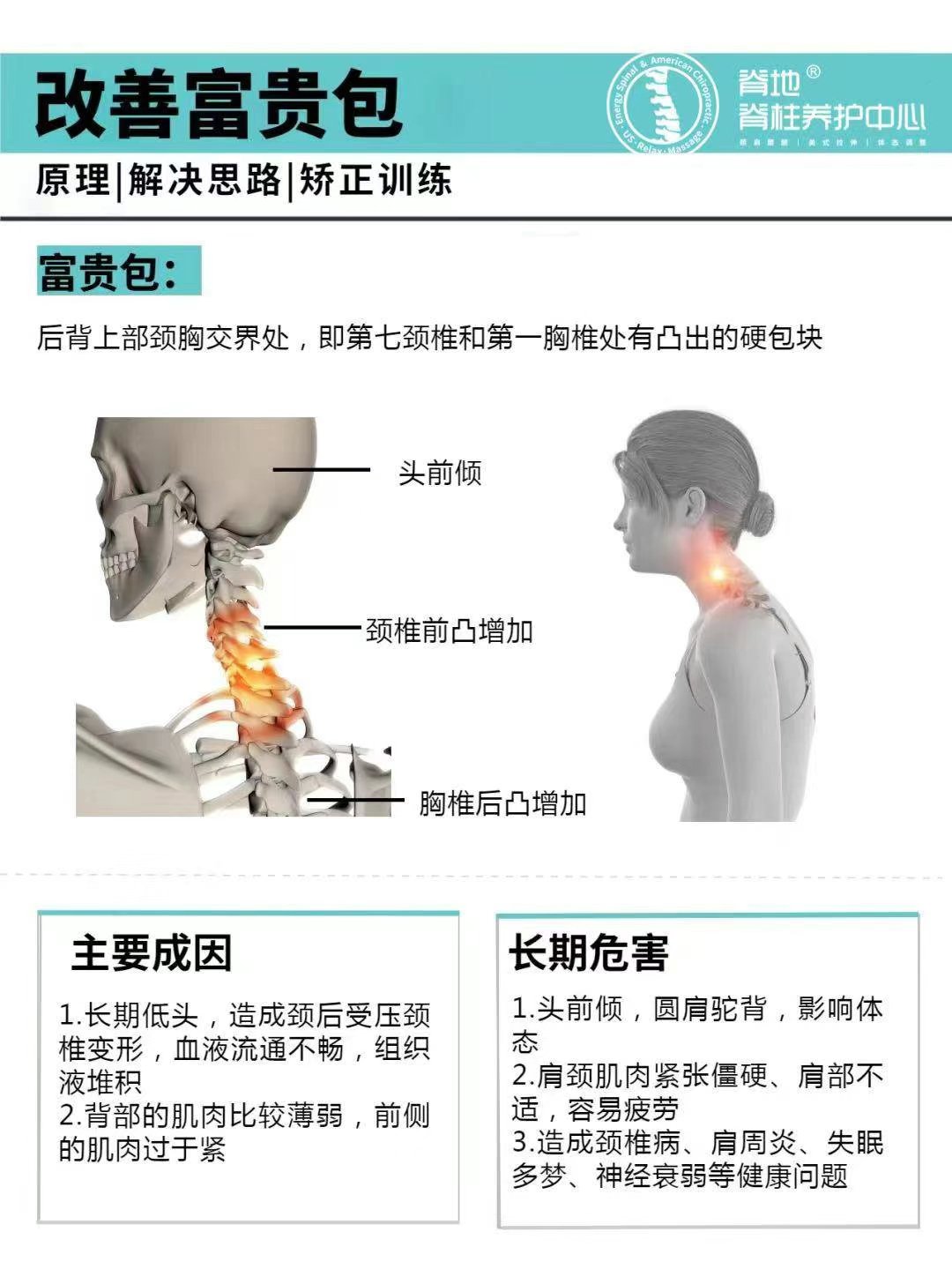 富贵包6015 学名肩背下脂肪垫