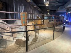 -酷嗒动物文化乐园(cutezoo西溪乐天城店)