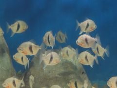 -福州罗源湾海洋世界旅游区