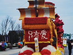 -荷兰花海