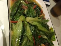 -南枝记