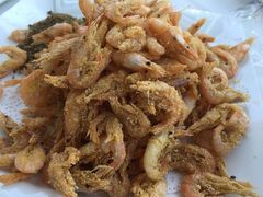 河虾-渔民船说·北塘海鲜·天津菜·海肠捞饭(北塘古镇店)