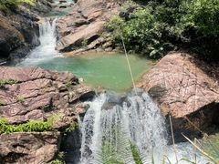 -广州白江湖森林公园