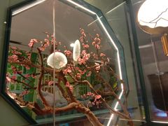 -老板恋上鱼(振华商厦店)
