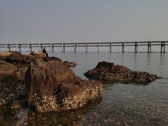 -黑石礁公园
