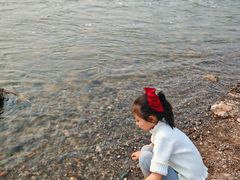 -绿堤公园