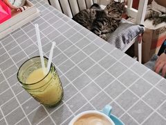 -海边的猫和咖啡馆