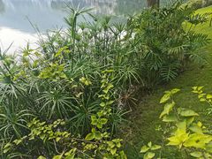 -海兰云天度假区温泉