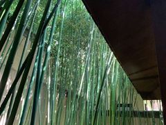 -春晖园度假酒店温泉