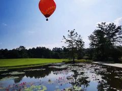 -中国科学院西双版纳热带植物园