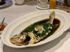 家烧野生黄鱼-福1015(愚园路店)