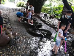 -成都市活水公园