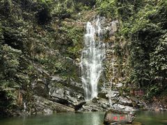 -鼎湖山风景区