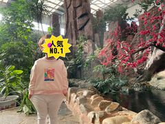 -御龙温泉度假村