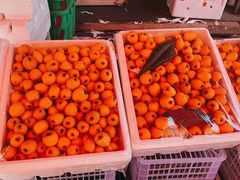 -城南综合水果批发市场(花园路店)