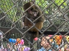 -长白岛森林公园