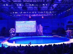 -华夏文旅海洋公园