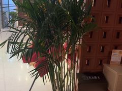 -LANN I 蘭·泰式古法按摩(高岛屋百货店)