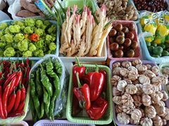 -云南木水花野生菌交易中心