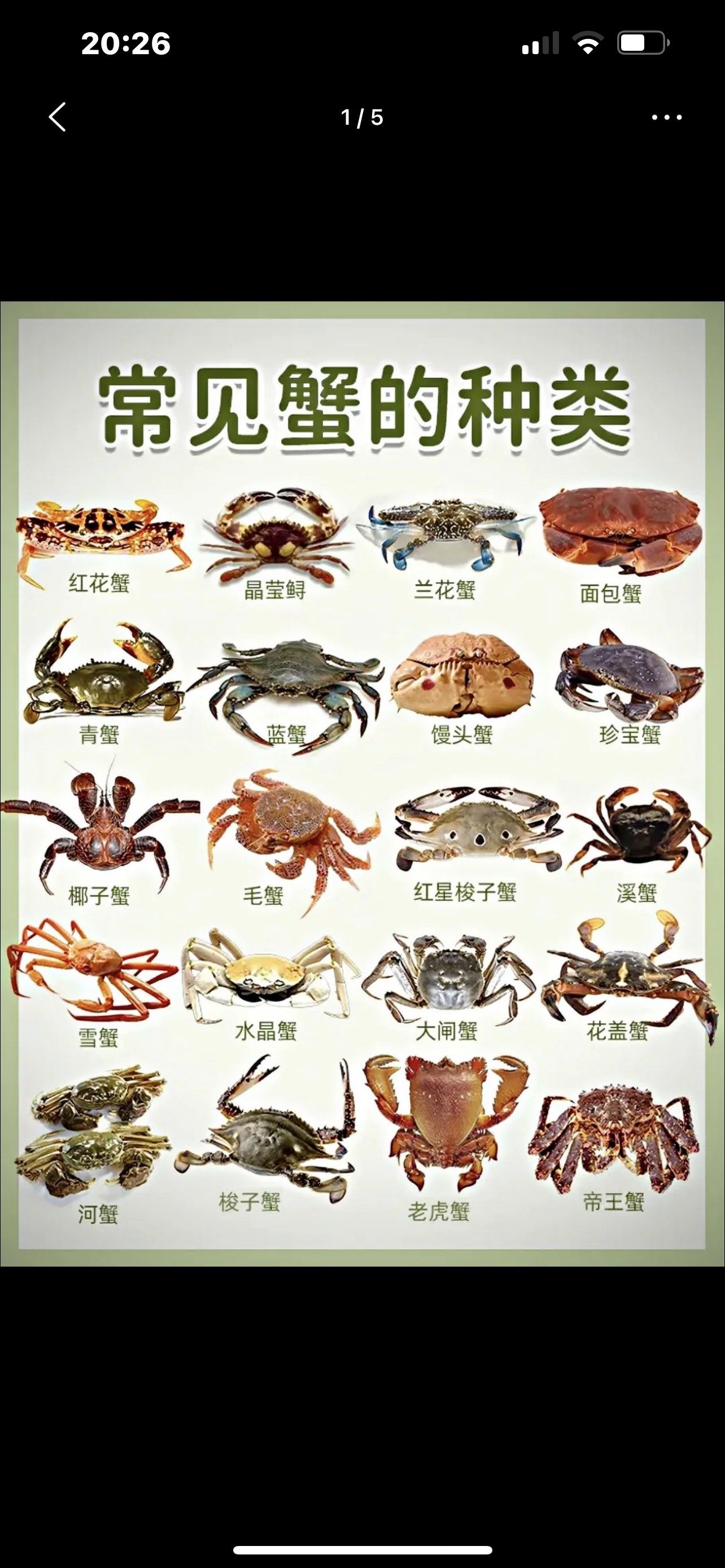 蟹是一类广泛分布的甲壳动物,其品种数量庞
