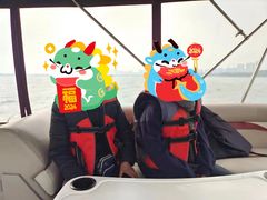 -金鸡湖桃花岛