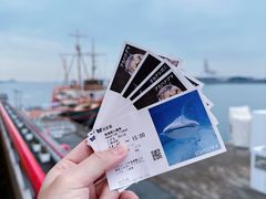 -大阪海游馆