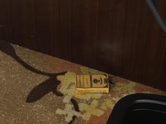 -成都世纪城假日酒店-西楼