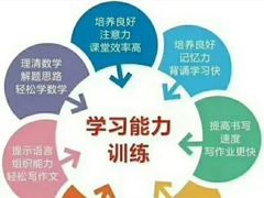 -金色雨林学习力培优(专注力提升)