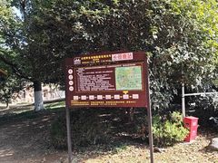 -合肥野生动物园
