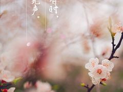 -苏州河梦清园环保主题公园