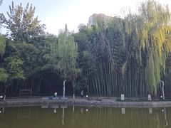 -西安市长乐公园