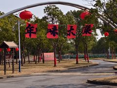 -上海都市菜园