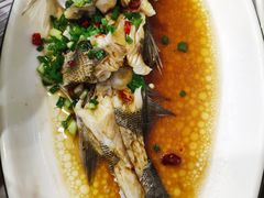 -金海湾海鲜排档(朱家尖店)