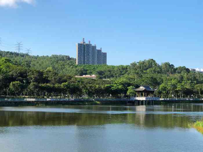 大运自然公园-"搜到这个公园不算远,就来啦~ 802和m."-大众点评移动版