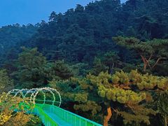 -大芦花风景区