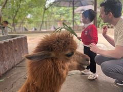-深圳野生动物园