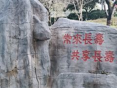 -南山植物园