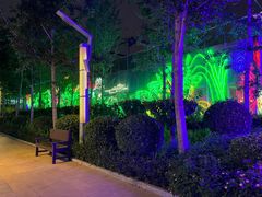 -南宫五洲植物乐园