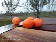 -秦岭风景区