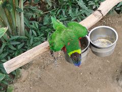 -南宫五洲植物乐园